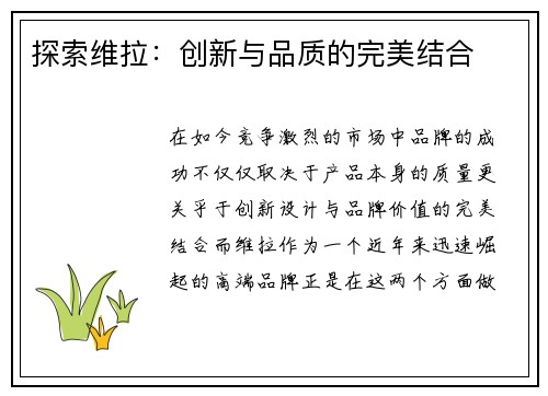 探索维拉：创新与品质的完美结合